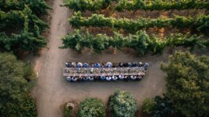 The Wine Club Retention Playbook: What $3.9 Billion in DTC Sales Reveals About Membership Growth