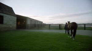 Keeneland September: What the World’s Largest Yearling Sale Says About Your Bloodstock Members