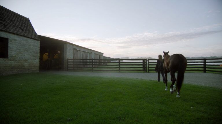 Keeneland September: What the World’s Largest Yearling Sale Says About Your Bloodstock Members