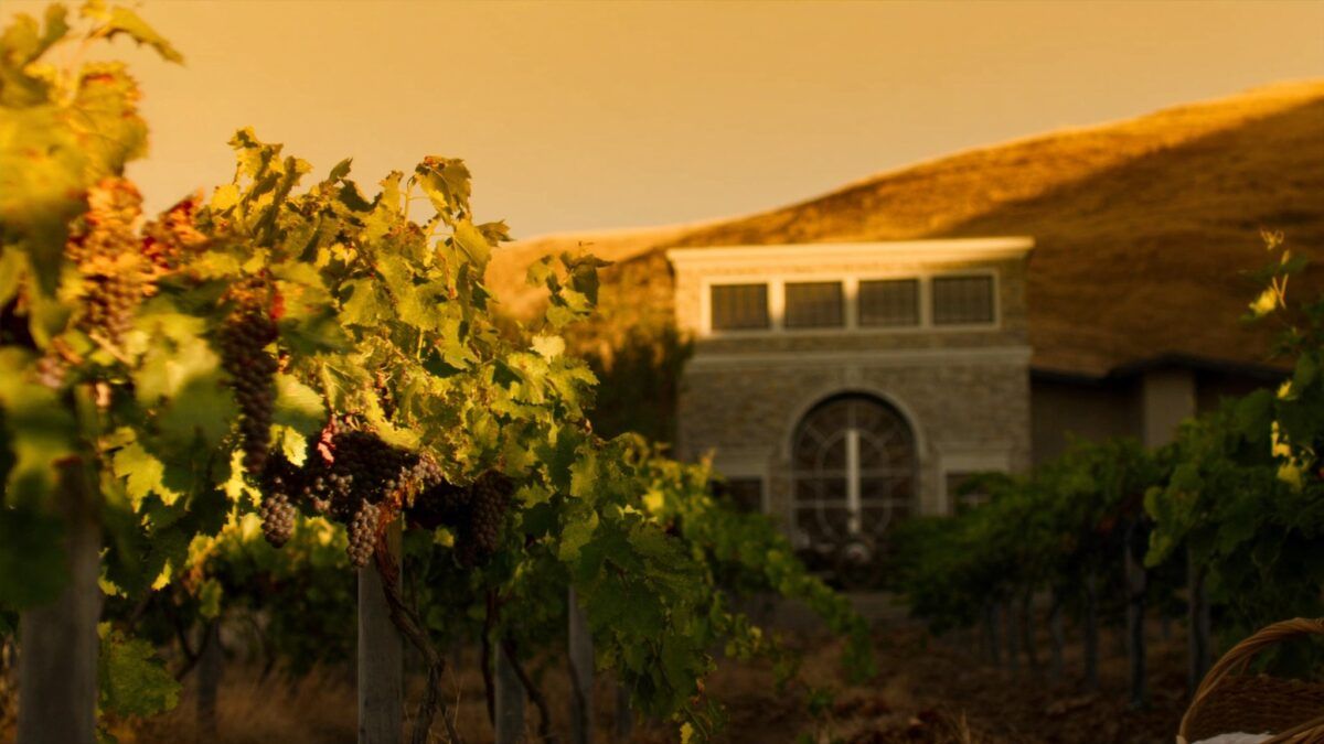 Napa Harvest 2026: The Cab Pre-Release, the Sotheby’s Auction and the Member Trip Your Club Should Be Selling